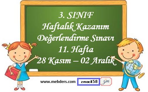 3. Sınıf Haftalık Kazanım Değerlendirme Testi 11. Hafta 28 Kasım - 2 Aralık